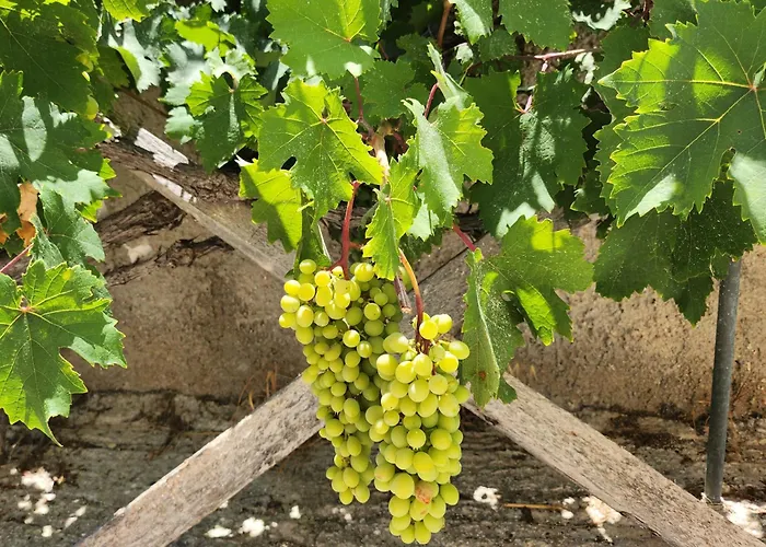 Theodorou Gæstehus 3*