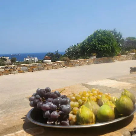 Vendégház Theodorou 3*